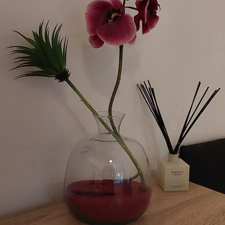 Maximino Appartement *